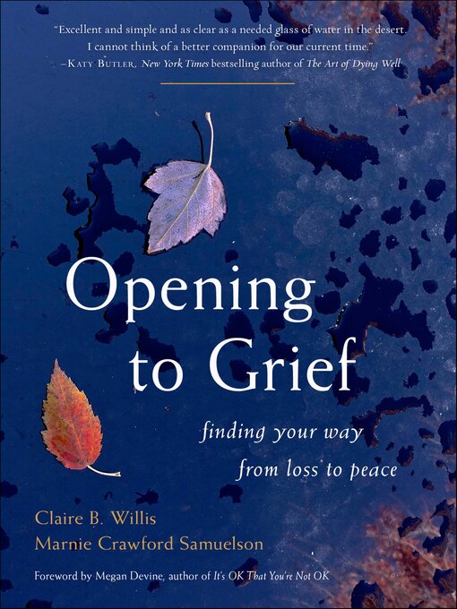 Title details for Opening to Grief by Claire Willis - Available